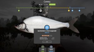 НОВОГОДНИЕ ЗАДАНИЯ 5  ЭТАП - РУССКАЯ РЫБАЛКА 4