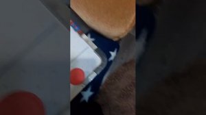 да это жесть