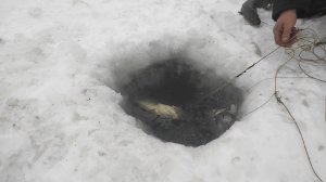 Проверка поставух и перемета.