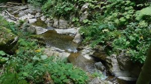 ВИДЕО  ПВН  ББ   (1640)