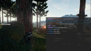 PUBG: Battlegrounds занимаем топ