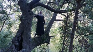 Афон 2019 осень