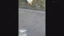 ЭТО БЕЗУМИЕ! Угарная подборка приколов НЕ ПЕЙТЕ ВОДУ ПЕРЕД ПРОСМОТРОМ!Ржака!Лол!Топ Смех Видео №7689