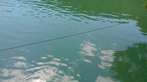 река Вулан 20 июня 2023 год