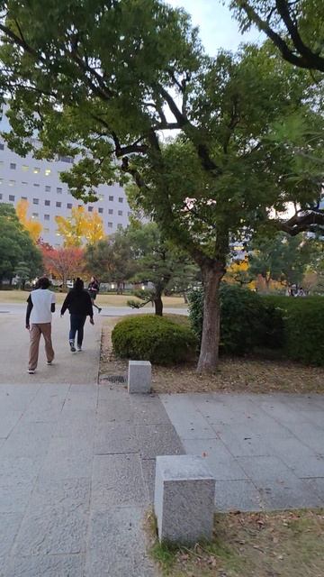 Осакский парк 16 века, Япония