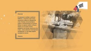 НАРОДНЫЕ НОВОСТИ: Забытый поселок. Бесполезная поликлиника. Причина грязи