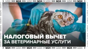 В Госдуме предложили ввести налоговый вычет за ветеринарные услуги - Москва 24