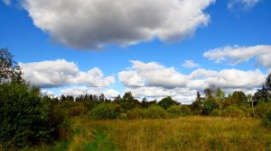 Осенняя природа