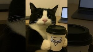 Пушистая нежность: котики в моменте