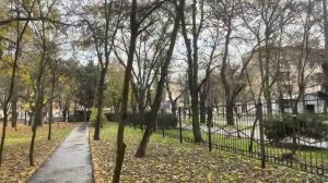 ОДЕССА 23 ДЕКАБРЯ 2025. ПОЧЕМУ ОНИ РЕАЛЬНО СМОТРЯТ С ЗЕЛЕН