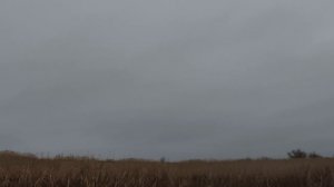 Охота в удовольствие