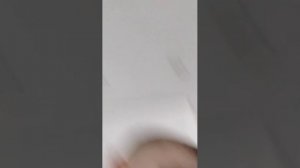 новогодняя трансляция