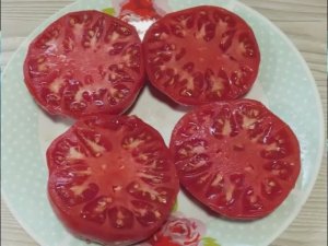 Томаты Польской селекции.  Новинки 2025 года. Часть 2.  т. 89229284031