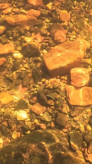 ОХОТА ЗА ПРИМАНКАМИ: ПОГРУЖЕНИЕ В ГЛУБИНЫ смотреть онлайн