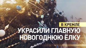 Главную новогоднюю ёлку в Кремле украсили 2,5 тысячи игрушек и 2,5 км гирлянд