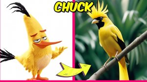 Злые птички в реальной жизни