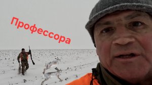 Охота на зайцев. Пашня