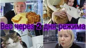 23-12-2025 Вес на 3й день после корпоратива * Вкусный завтрак * Барсик с Мариной