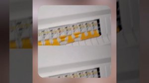 1000043318.mp4 (Собака наблюдает за лайфхаками при строительстве дома А-фрейм)