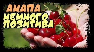 Флора и фауна. Анапа (2022)