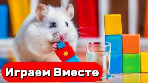 УМНЫЙ ХОМЯК СБЕГАЕТ ИЗ СЕКРЕТНОЙ ТЮРЬМЫ С ЛОВУШКАМИ 🐹 ВИДЕО ПРО ХОМЯКА ДЛЯ ДЕТЕЙ часть 5