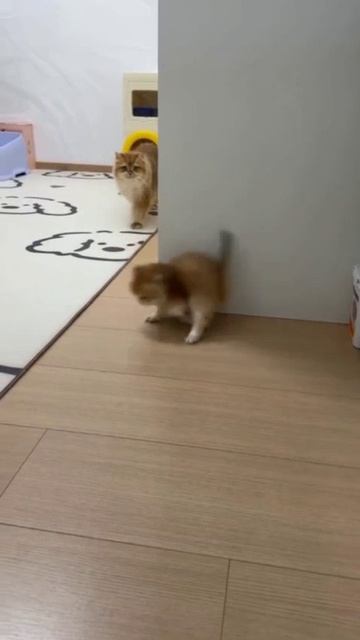 Страшная история