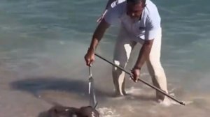 Мурена напала на россиянина на пляже в Египте