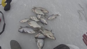 ПОДБИРАЕМ КЛЮЧИК К ХИТРОЙ РЫБЕ И ЛОВИМ... РЫБАЛКА СО ЛЬДА...