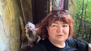 Финик и Анфиса ВПЕРВЫЕ катаются вместе по парку, а Финя стал МОЕЙ ШЛЯПКОЙ)