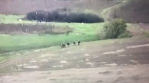 video_2025-10-21_10-13-12