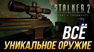 S.T.A.L.K.E.R. 2 - Где найти всё уникальное оружие