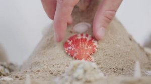 NH COLLECTION DUBAI THE PALM 4* | 316000.ru - лучшие цены на Ваши путешествия!