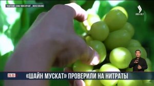 Корейский виноград «Шайн Мускат» проверили на нитрат?
