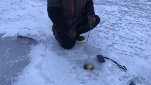 поимка форели