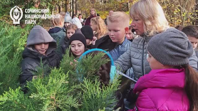 Экскурсия в рамках экологической акции Новогоднее дерево