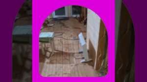 1000043320.mp4 (Собака наблюдает за лайфхаками при строительстве дома А-фрейм)