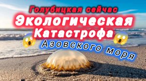 АЗОВСКОЕ МОРЕ-ГОЛУБИЦКАЯ.ЭКОЛОГИЧЕСКАЯ КАТАСТРОФА 21 ВЕКА 😱 #азовскоеморе #голубицкая