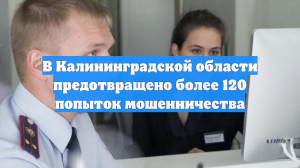В Калининградской области предотвращено более 120 попыток мошенничества