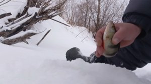 ЗИМНЯЯ РЫБАЛКА ПО ОКУНЮ И ЩУКЕ!!!