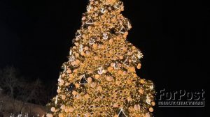 опрос_елка_23_12_25