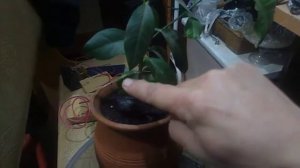 Тайна выделения водорода из воды, которая противоречит законам науки. У науки шок от увиденного. Во!