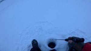 НАШЛИ РЫБУ! ОТЛИЧНОЕ НАЧАЛО по  СУДАКУ на Обском водохранилищще! Зимняя рыбалка 2025-2026!