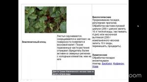 Уход за садом с Анастасией Борункова 23.12 14:00