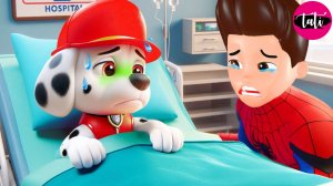 Щенячий патруль. Пожалуйста, Помоги! Окончательное спасение. Анимация