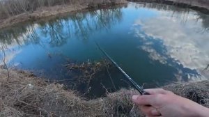 КЛЁВ КАК В ЗАПОВЕДНИКЕ! ЖОР ЩУКИ ПОСЛЕ НЕРЕСТА! Рыбалка на сказочно красивой реке на спиннинг.