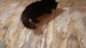 прикол с Ричушкой