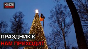 Гирлянды, ёлки и световые инсталляции появились в округе