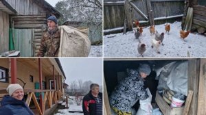 ПОДСЫПАЛИ КУРОЧКАМ СЕНА И ПОСЫПАЛИ БАКТЕРИИ. ПЕРЕСЫПАЛИ ЗЕРНО.