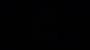 Всем с Новым годом!