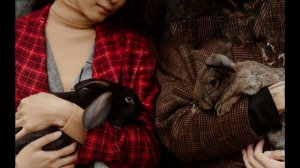 Не надо торипиться, да